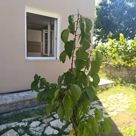 דירה Efi House *
